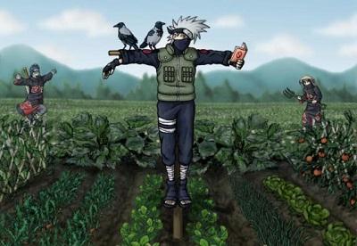 Kakashi The Scarecrow Shinobi.preview.jpg